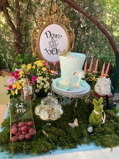 a table topped with lots of different types of cakes and desserts on top of green grass