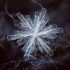 a snowflake is shown in the dark