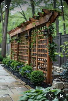 a wooden trellis with plants growing on it