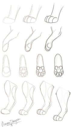 an image of different feet and toes drawn in pencil on white paper with the caption's name below it