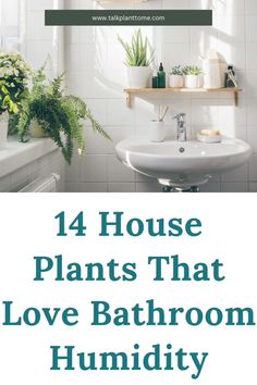 Plant Vases in Bathroom Trendy bathroom plants decor ideas || bathroom decoration with plants Spider Plant Bathroom, Plant Advice, Plants To Grow, Restroom Decor, Homeward Bound, Best Plants