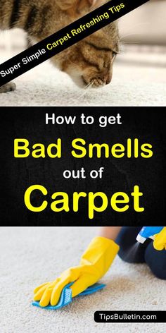 how to get bad smells out of carpet with the help of a cleaning brush and gloves