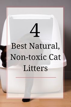 a cat sitting in a litter box with the words 4 best natural non - toxiic cat litters