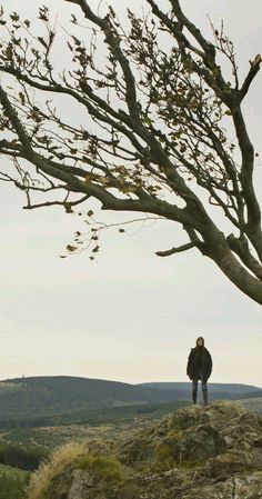 a person standing on top of a rocky hill next to a tree with no leaves