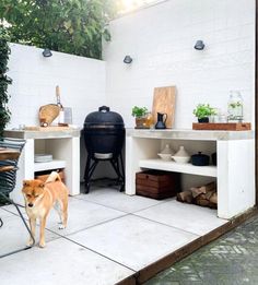 a dog is standing in front of an outdoor bbq grill and table with potted plants on it