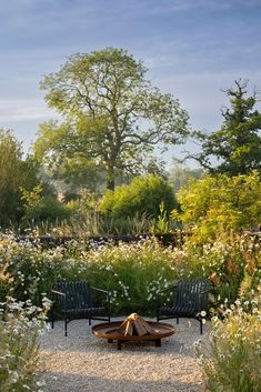 two black benches sitting in the middle of a garden with white flowers and trees behind them