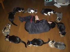 a man laying on the floor surrounded by cats