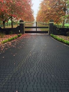 the driveway is lined with trees and leaves