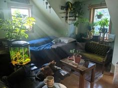 a living room filled with furniture and lots of plants