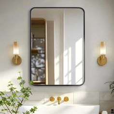 a bathroom with a sink, mirror and potted plant