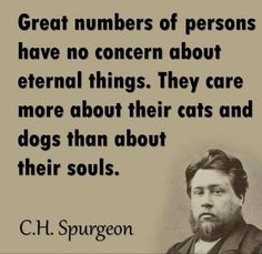 a quote from c h spurgon about the great numbers of persons have no concern about external things they care for more about their cats and dogs than about their