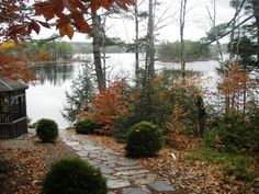 a path leading to a lake surrounded by trees with leaves on the ground and in front of it is a gazebo