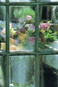 flowers are seen through the window panes in this photo