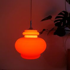 an orange light hanging from a ceiling next to a potted plant in a dark room