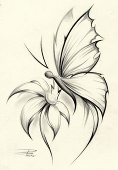 a drawing of a flower with a butterfly on it's back end and wings