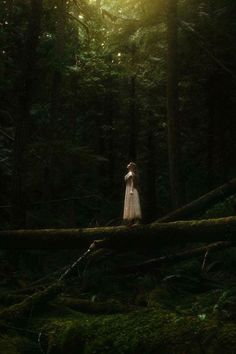 a woman standing on a fallen tree in the forest with sunlight shining through the trees