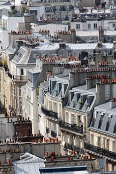 an aerial view of the roofs of buildings in paris