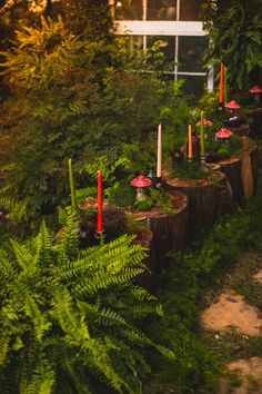 candles are placed on logs in the garden