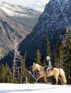 a person riding on the back of a brown horse through snow covered mountains and trees