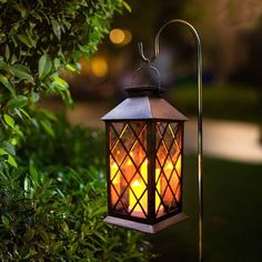 a lantern hanging from a tree in the evening