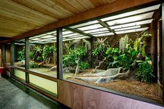 a room filled with lots of green plants and rocks on the wall next to it