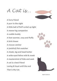 a cat's poem with an image of a fish