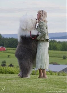 a woman standing next to a large dog on top of a lush green field covered in grass