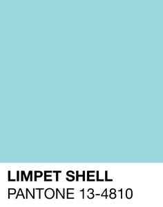 a blue and white poster with the words limppet shell pantone 13 - 4810