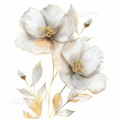 two white flowers with gold leaves on a white background