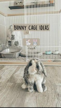 a bunny cage with the words bunny cage ideas