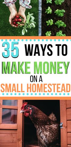 the cover of 35 ways to make money on a small home - seed farm with chickens