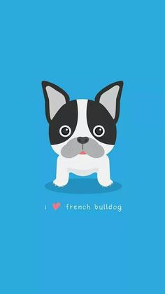 a cute little french bulldog on a blue background with the words i love french bulldogs