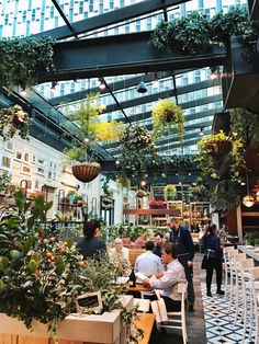 people sitting at tables in a restaurant with plants hanging from the ceiling