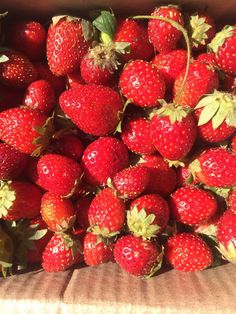 a box filled with lots of ripe strawberries