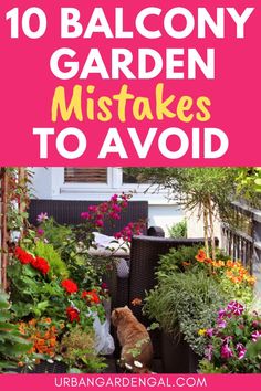 the words 10 balcony garden mistakes to avoid