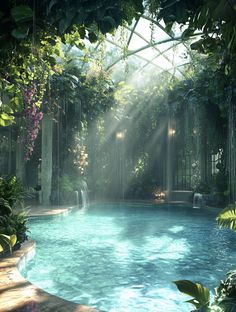 an outdoor pool surrounded by greenery and sunlight streaming through the roof to light up the room