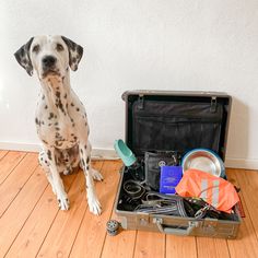 I pack my suitcase and take with me ... ?! - MY DOG! Your adorable four-legged friend and you love to travel together? we have the perfect aluminum suitcase to store your dog's favourite things, toys and essentials super easily. #gundelkoffer #travelgundel #suitcases #suitcaselife #suitcasetravels #koffer #kofferpacken #aluminium #valise #passportcollective #passportlife #passportexpress #passportpassion #voyagevoyage #adventuretogether #businesstrips #weekender #baggage Aluminum Suitcase, Cabin Luggage, Dog Day, The Cabin, Four Legged, Business Travel