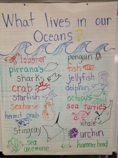 what lives in our oceans? anchor board with pictures and words for each part of the ocean