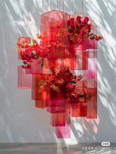 red flowers are hanging from the side of a white wall