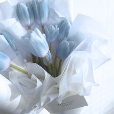 a bouquet of blue tulips wrapped in white paper