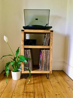 a record player sitting on top of a wooden shelf next to a potted plant