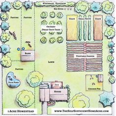 a garden plan with lots of trees and plants