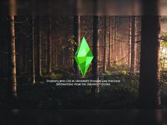 a green diamond in the middle of a forest with an inspirational quote written on it