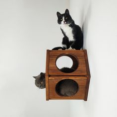 two cats sitting on top of a wooden cat house