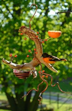 a bird feeder hanging from the side of a tree filled with oranges and berries