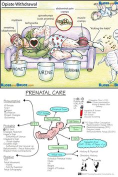 the diagram shows how to use dental care for cats and dogs, as well as what they