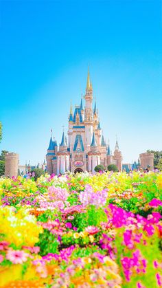 the castle is surrounded by many colorful flowers