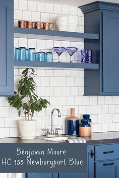 a kitchen with blue cabinets and white tile backsplash, including a potted plant