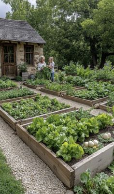 an outdoor garden with lots of plants and vegetables