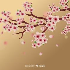 a branch with pink flowers on it